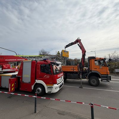 FW Weinheim: Schräger Ampelmast führt zu Einsatz an Straßenbahntrasse