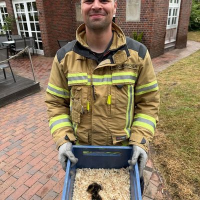 FW Osterholz-Scharm.: Feuerwehr rettet Entenküken