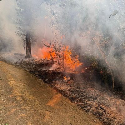 FW Ratingen: Ratinger Einsatzkräfte unterstützen bei Waldbrand im Kreis Düren