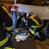 FW-BO: Kuriose Tierrettung