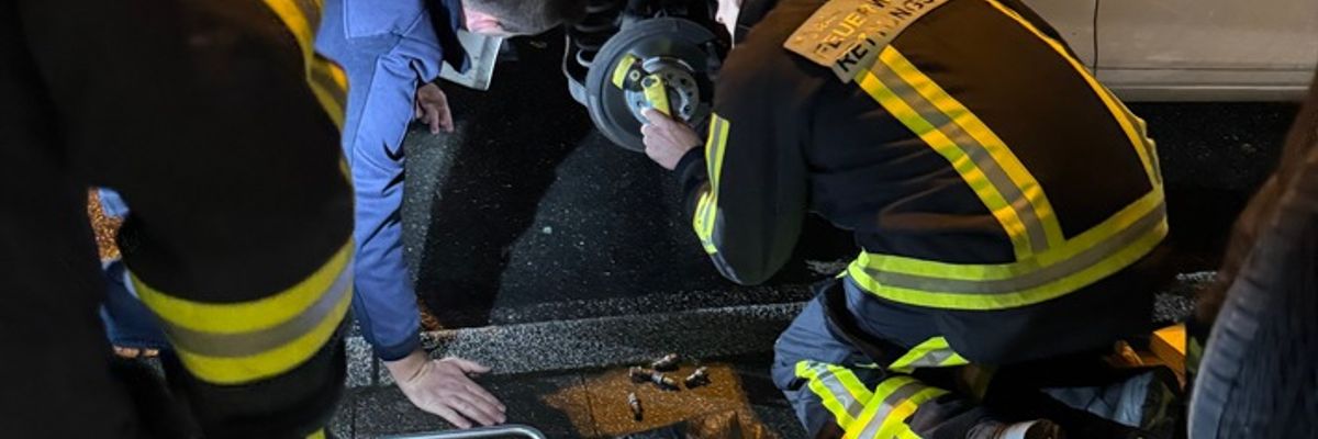 FW-BO: Kuriose Tierrettung