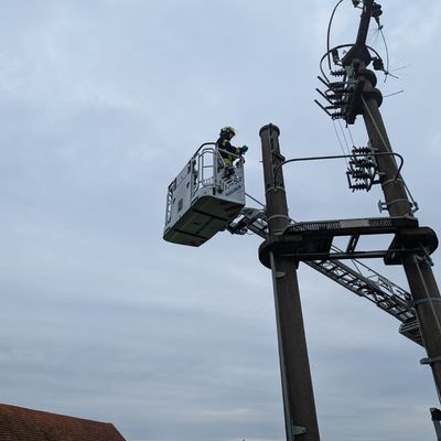 FW Lage: Tierrettung - Turmfalkenküken aus dem Nest gefallen - 15.06.2025