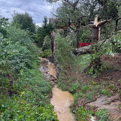 FW Überlingen: Heftiges Unwetter fordert Feuerwehr und führt zu 72 Einsätzen innerhalb kurzer Zeit / umgestürzte Bäume / vollgelaufene Keller / blockierte Fahrbahnen / abgedeckte Häuser