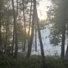 FW Alpen: Überörtliche Hilfe bei Waldbrand in Sonsbeck - Labbeck