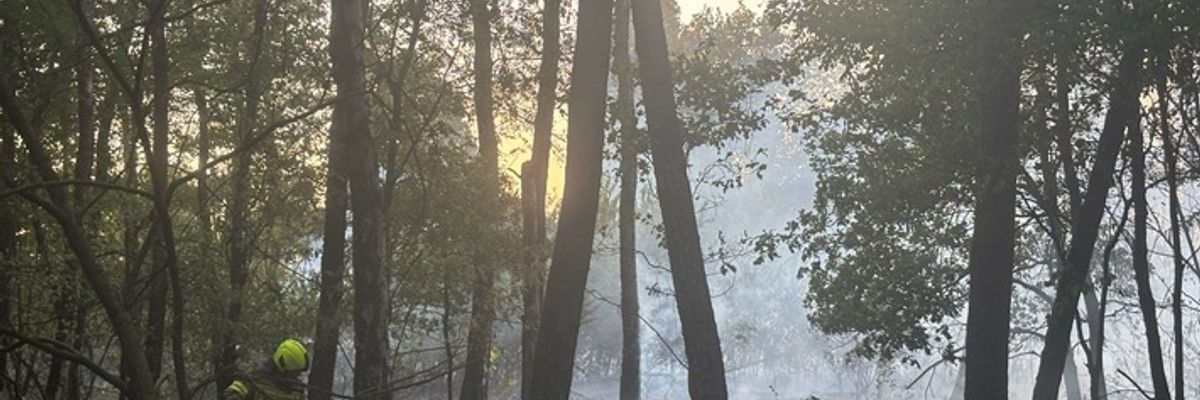 FW Alpen: Überörtliche Hilfe bei Waldbrand in Sonsbeck - Labbeck