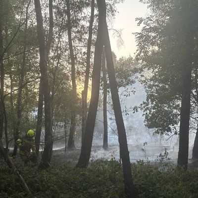 FW Alpen: Überörtliche Hilfe bei Waldbrand in Sonsbeck - Labbeck