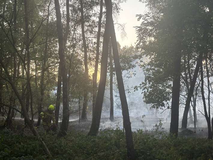 FW Alpen: Überörtliche Hilfe bei Waldbrand in Sonsbeck - Labbeck