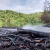 FW Königswinter: 400 m² Vegetation brennen im Naturschutzgebiet Eudenberg
