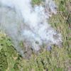 FW Kreis Soest: Waldbrand am Möhnesee - aktuell rund 300 Einsatzkräfte vor Ort