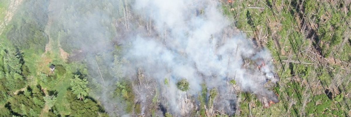 FW Kreis Soest: Waldbrand am Möhnesee - aktuell rund 300 Einsatzkräfte vor Ort