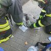 FW-DO: Wohnungsbrand in Dortmunder Innenstadt-Eine Person und zwei Katzen verletzt