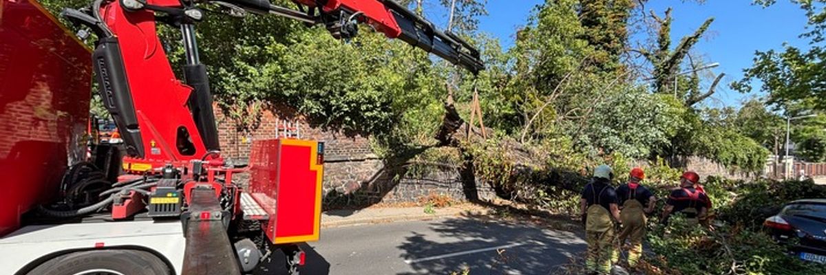 FW Dresden: Informationen zum Einsatzgeschehen von Feuerwehr und Rettungsdienst in der Landeshauptstadt Dresden vom 11. August 2026