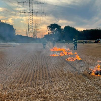 FW-WRN: Freiwillige Feuerwehr Werne übt Vegetationsbrandbekämpfung