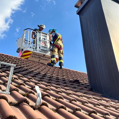FW Stuttgart: Feuerwehr rettet vier Turmfalken aus aufgeheizter Blechverkleidung