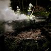 FW-EN: Gemeldeter Waldbrand am Ostersonntag
