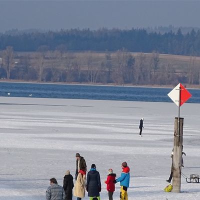 FW Reichenau: Person im Eis eingebrochen, Reichenau/Gnadensee, 07.01.2026