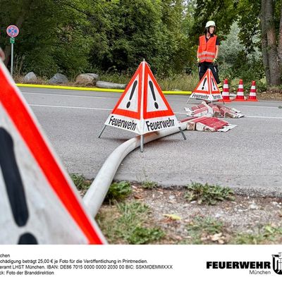 FW-M: Freiwillige Feuerwehr rettet Fische in nahezu ausgetrocknetem Weiher (Langwied)