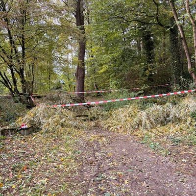 FW-Heiligenhaus: Sturmtief Luise - Bilanz des Wochenendes