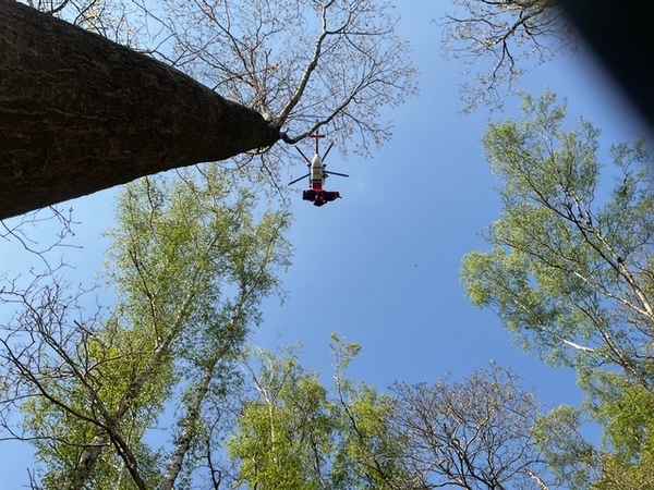 FW-DO: Gestürzter Mountainbikefahrer im Wald