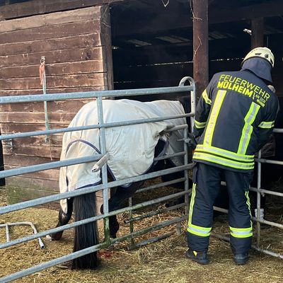 FW-MH: Tier in Notlage - Technische Hilfeleistung durch die Feuerwehr