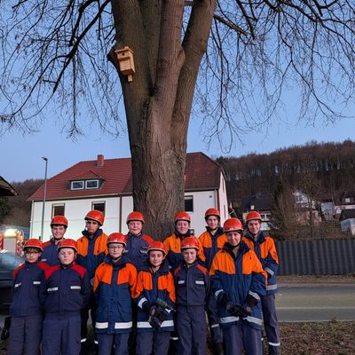 FW Beverungen: Jugendfeuerwehr Herstelle engagiert sich im Naturschutz / Zwölf Vogelnisthilfen für die heimische Natur