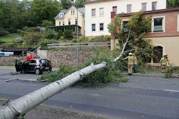 FW Dresden: Informationen zum Einsatzgeschehen von Feuerwehr und Rettungsdienst in der Landeshauptstadt Dresden vom 24. September 2025