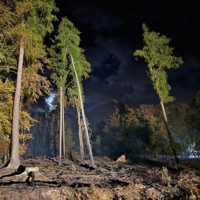 Feuerwehr MTK: Waldbrandlöschzug des Main-Taunus-Kreises unterstützt bei Waldbrand im Rheingau-Taunus-Kreis - Rund 45 Einsatzkräfte sicherten in schwierigem Gelände die Flanken des Brandgebietes