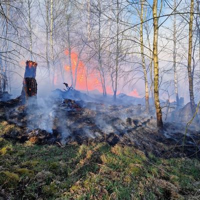FW-EN: Waldbrand