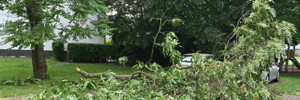 FW Pulheim: Hitzegewitter bringt Sturmböen nach Pulheim