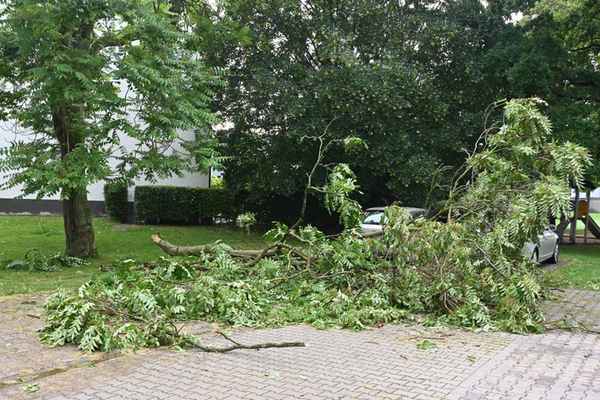FW Pulheim: Hitzegewitter bringt Sturmböen nach Pulheim