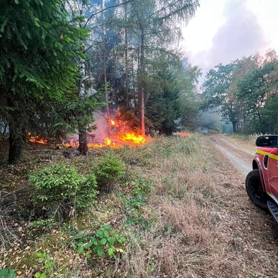 FW-BN: EU Waldbrandmodul im Kreis Düren im Einsatz, 1. Folgemeldung