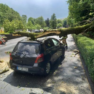 FW-EN: Massiver Baum stürze auf fahrenden Pkw - Zwei Verletzte bei Unfall in Herdecke - Großes Glück für Insassen
