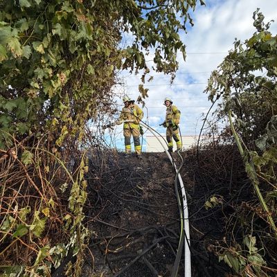 FW Weinheim: Böschungsbrand an Bahnstrecke und Türöffnung beschäftigen Freiwillige Feuerwehr Weinheim