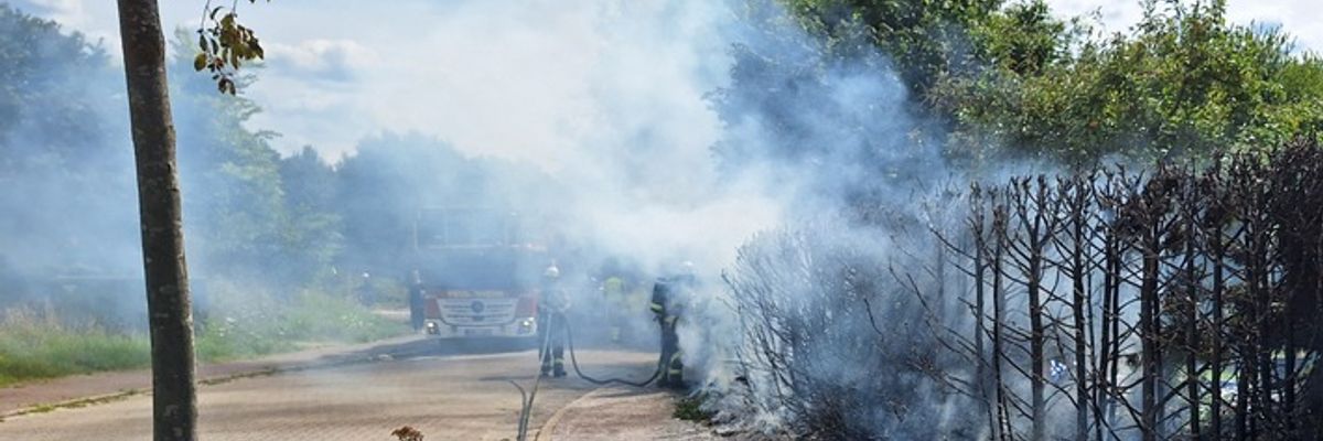FW Bocholt: Heckenbrand in Mussum
