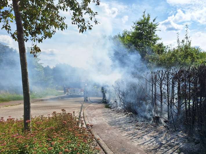 FW Bocholt: Heckenbrand in Mussum