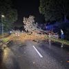 FW Hünxe: Baum blockiert Dinslakener Straße