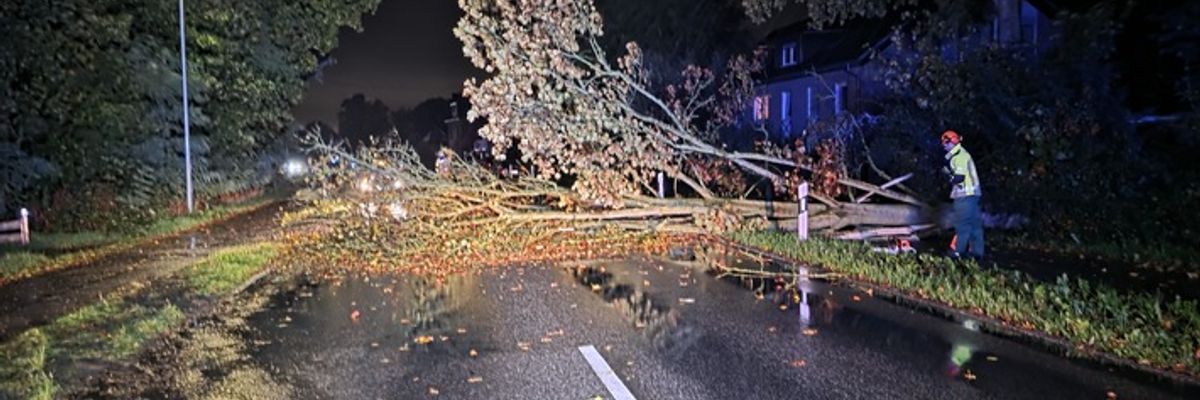 FW Hünxe: Baum blockiert Dinslakener Straße