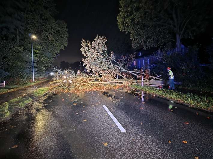 FW Hünxe: Baum blockiert Dinslakener Straße