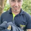 FW-M: Entenfamilie verirrt sich in Klinik (Harlaching)