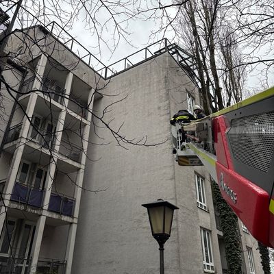 FW-M: Schwan auf Abwegen (Schwabing)