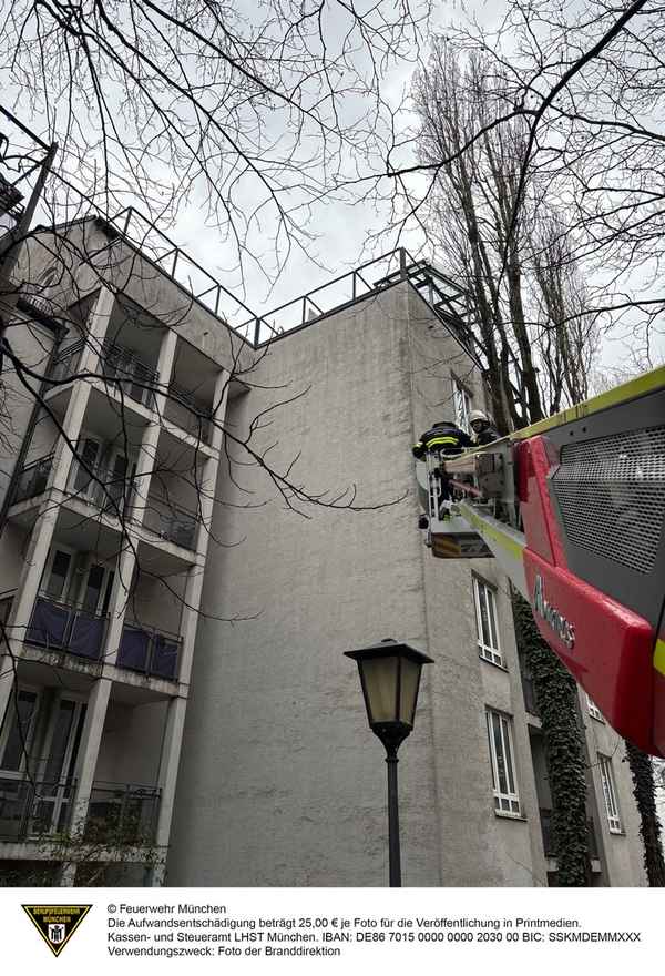 FW-M: Schwan auf Abwegen (Schwabing)