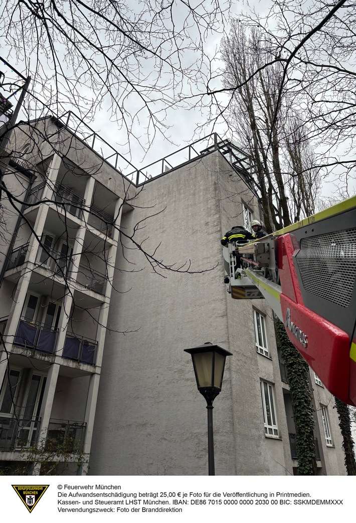 FW-M: Schwan auf Abwegen (Schwabing)