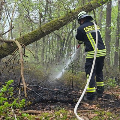 FW Celle: Waldbrand in Westercelle - Löscharbeiten werden aus der Luft unterstützt!