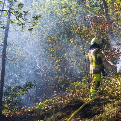 FW-MK: Flächenbrand am "Lünkerhohl"