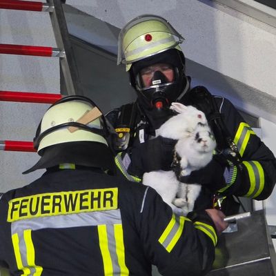 FW Celle: Dachstuhlbrand in Groß Hehlen - Einsatzende (Gesamtbericht)