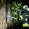 FW-AUR: Blitzeinschlag in Baumstamm