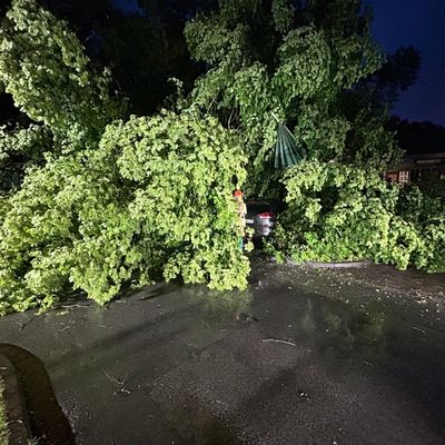 FW Paderborn: Unwetterlage sorgt bei der Feuerwehr Paderborn für ein erhöhtes Einsatzaufkommen