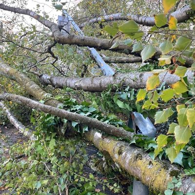 FW Konstanz: Unwetterlage fordert die Feuerwehr