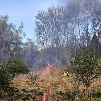 FW Konstanz: Vegetationsbrand