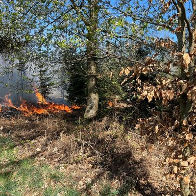 FW-Velbert: Waldbrand in Velbert-Neviges